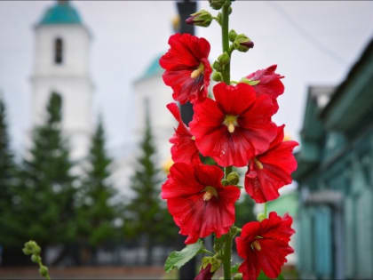 В Омске июль начнется с понижения температуры и дождей