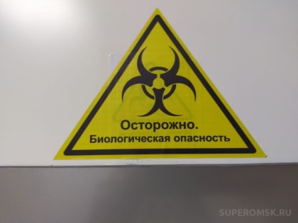 В районе Омской области устанавливают ограничения из-за смертельно опасной инфекции