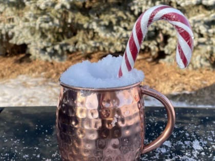 От +2° до -43°: когда за последние 124 года в Омской области была самая холодная новогодняя ночь