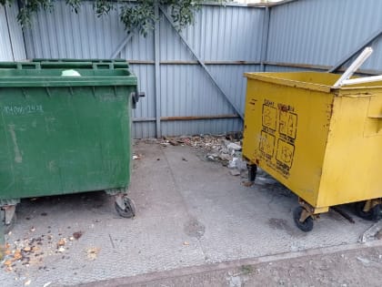 Стало известно, кто выбросил трупы кошек и собак на мусорку в Омске