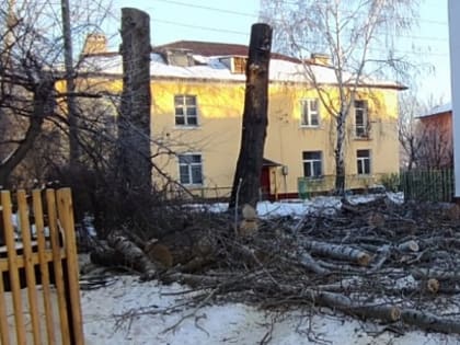 Кронирование деревьев