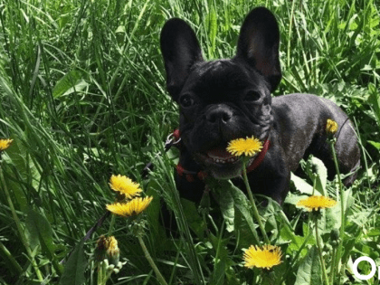 Как выжить в 35-градусную жару, рассказали в новосибирском Роспотребнадзоре