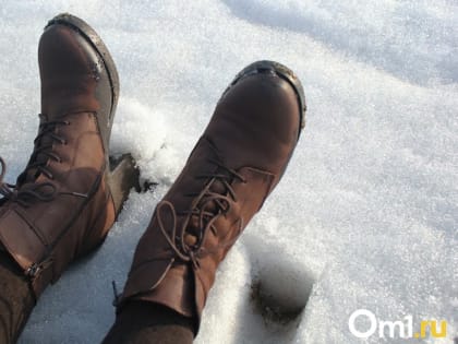 Перенесла два инсульта: пожилая женщина погибла на месте при падении из окна в Новосибирске