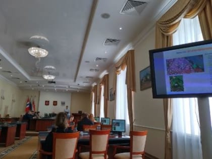 Рядом с омским дендросадом ради строительства вырубят деревья