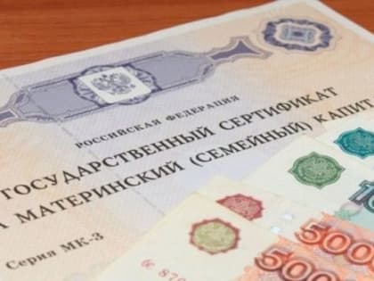 В России изучают возможность покупать машину на средства маткапитала