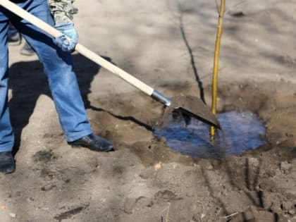 Омские чиновники выйдут на субботник в Нефтяниках