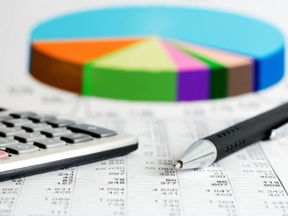 УФНС России  по Омской области проанализировало поступление налоговых платежей в разрезе основных видов деятельности