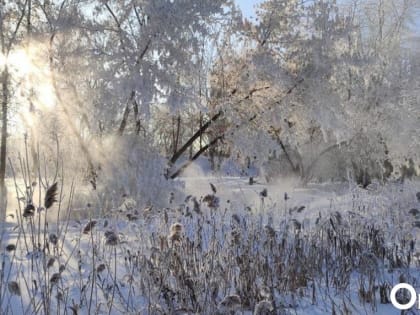 Похолодает до -39: к концу января в Омскую область придут сильные морозы