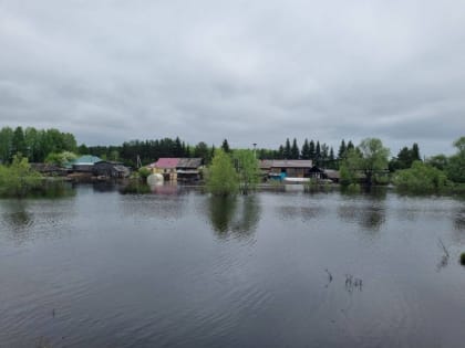 Виталий Хоценко сообщил о снижении уровня воды в реках Иртыш и Ишим