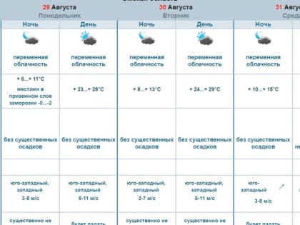 Напоследок. После ночных «минусов» в Омск неожиданно придет жара