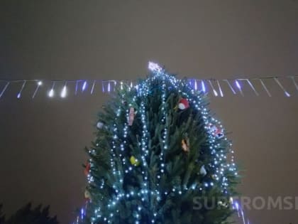 Под Новый год домашних питомцев в Омске настигла общая беда