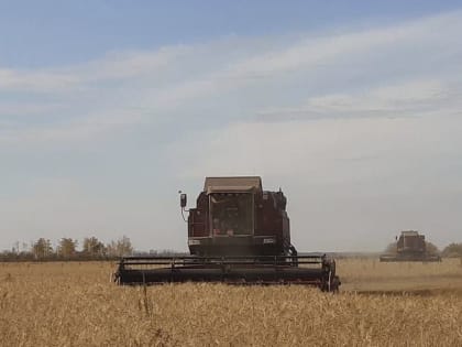 Виталий Хоценко: «Омские аграрии намолотили 2,5 млн тонн зерна»