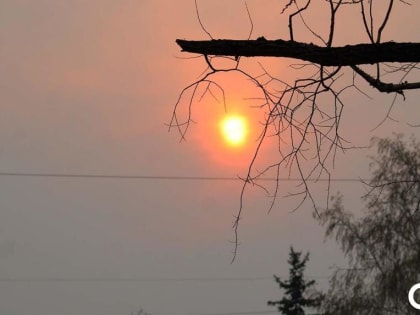 Исследователи заявили об увеличении в Омске количества тёплых дней