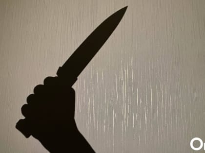 В Омской области рецидивист с ножом напал на работника фермы из-за личной неприязни