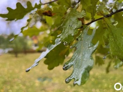 Сильные грозы и дожди ожидаются в регионе