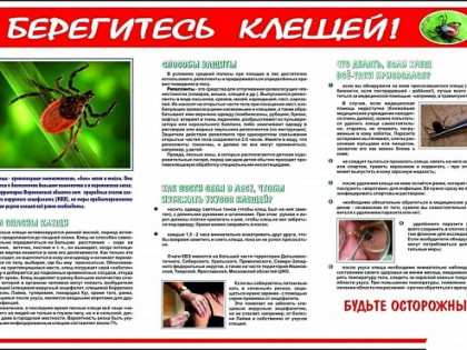 Осторожно клещи!