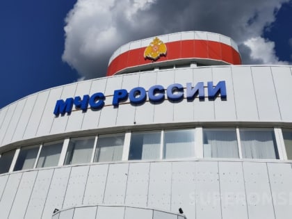 Руководство омского МЧС представили к награде