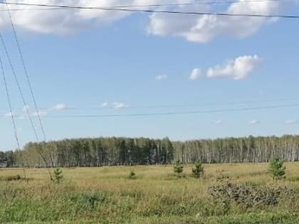 В Омск ради сельзохотрасли приехала делегация из Индии