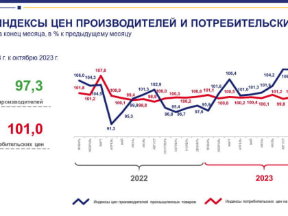 Об индексе цен производителей промышленных товаров в ноябре 2023 года