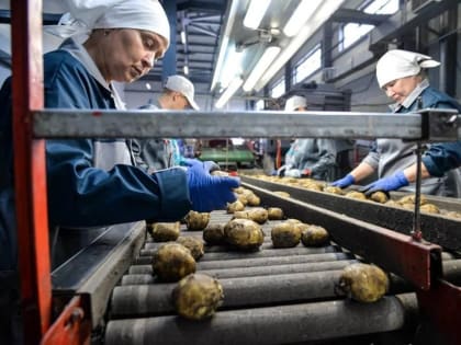 Власти Омской области расширили перечень субсидируемой техники для поддержки аграриев и животноводов