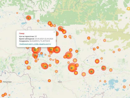 В Омской области бушует 24 лесных пожара