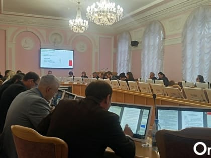 Омский горсовет выберет третьего вице-спикера