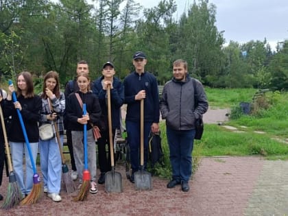 Благодарность за помощь в уборке территории