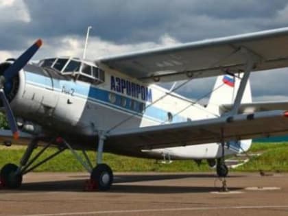 Перевозчик назвал стоимость перелета из Омска в Усть-Ишим