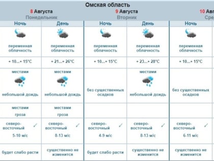 Время строить ковчег. В Омск вернутся сильные дожди и грозы