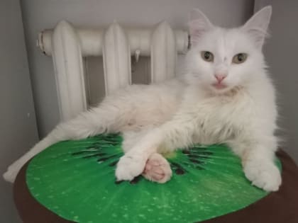 Глава омского минэнерго Шнипко сделал заявление о завершении отопительного сезона