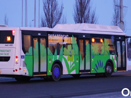 В Омске водитель автобуса отбил семью у трёх псов