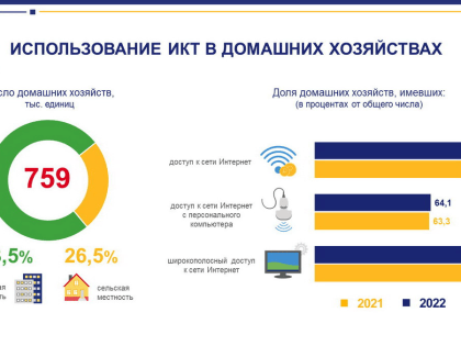 О развитии цифровых компетенций населения в 2022 году