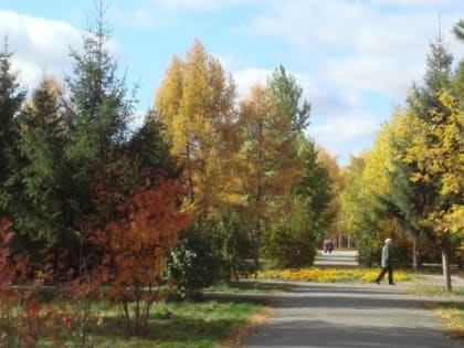 В сквере Молодоженов в Омске появится скульптура влюбленных