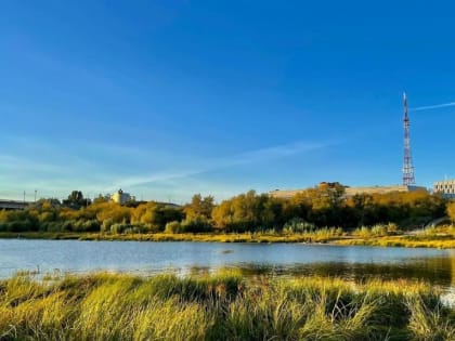 Плавать не рекомендуется: омские пляжи открыли без заключения Роспотребнадзора