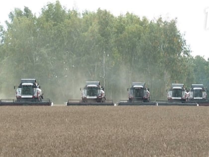 Омские аграрии рассказали, с какими сложностями столкнулись этой осенью