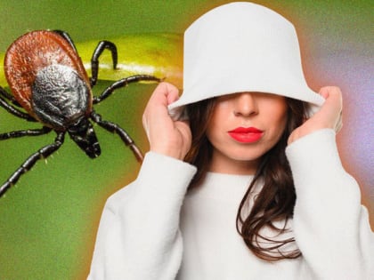 Увеличение случаев укусов клещей в Омской области