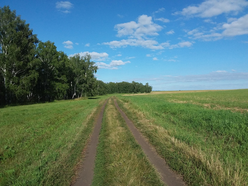 Орехово одесского района. Село Орехово Омская область. Одесское Омская область. Лесное хозяйство Шербакульского района. Природа русско-Полянского района Омской области.