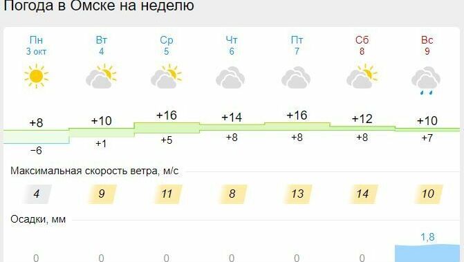 Погода в омске. Погода после дождя. Температура за весь сегодняшний день. Погода на 8 октября.