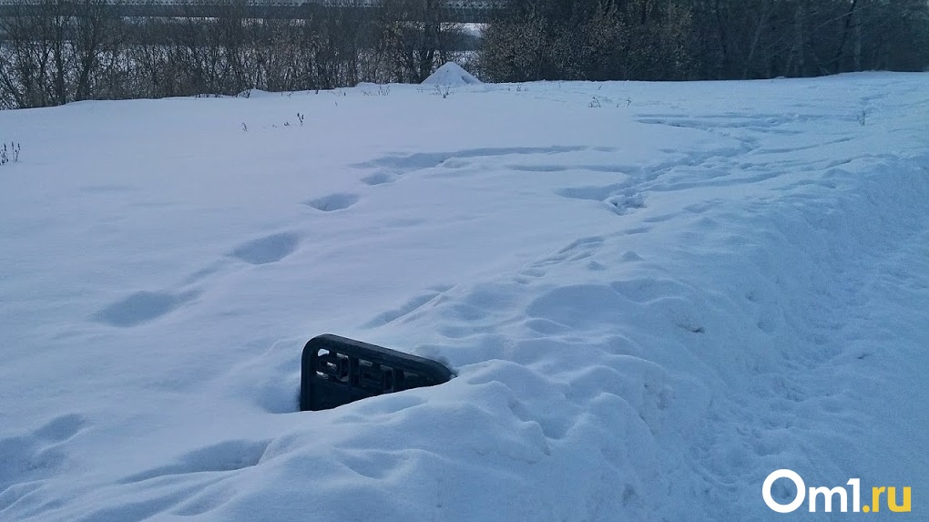 В омске выпадет снег