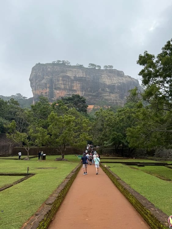 Mr. and Mrs. Valiante and family - Photo 5