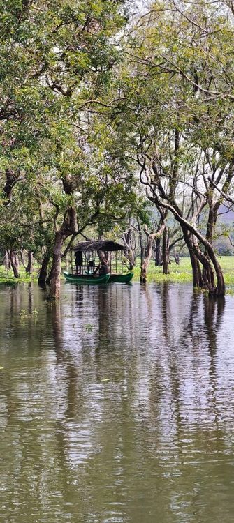 Testimonial from Mrs. Laura - Mrs. Laura Cattani and party - Photo 5