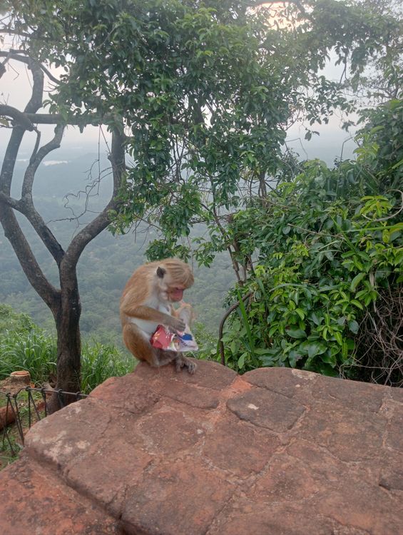 Testimonial from Mrs. Laura - Mrs. Laura Cattani and party - Photo 9