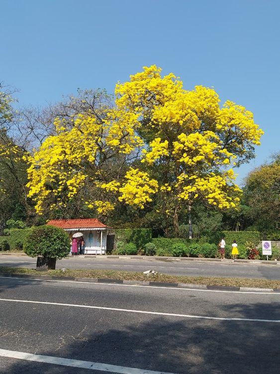 Ms. Sara Apolloni and father, Mr. Roberto - Photo 3