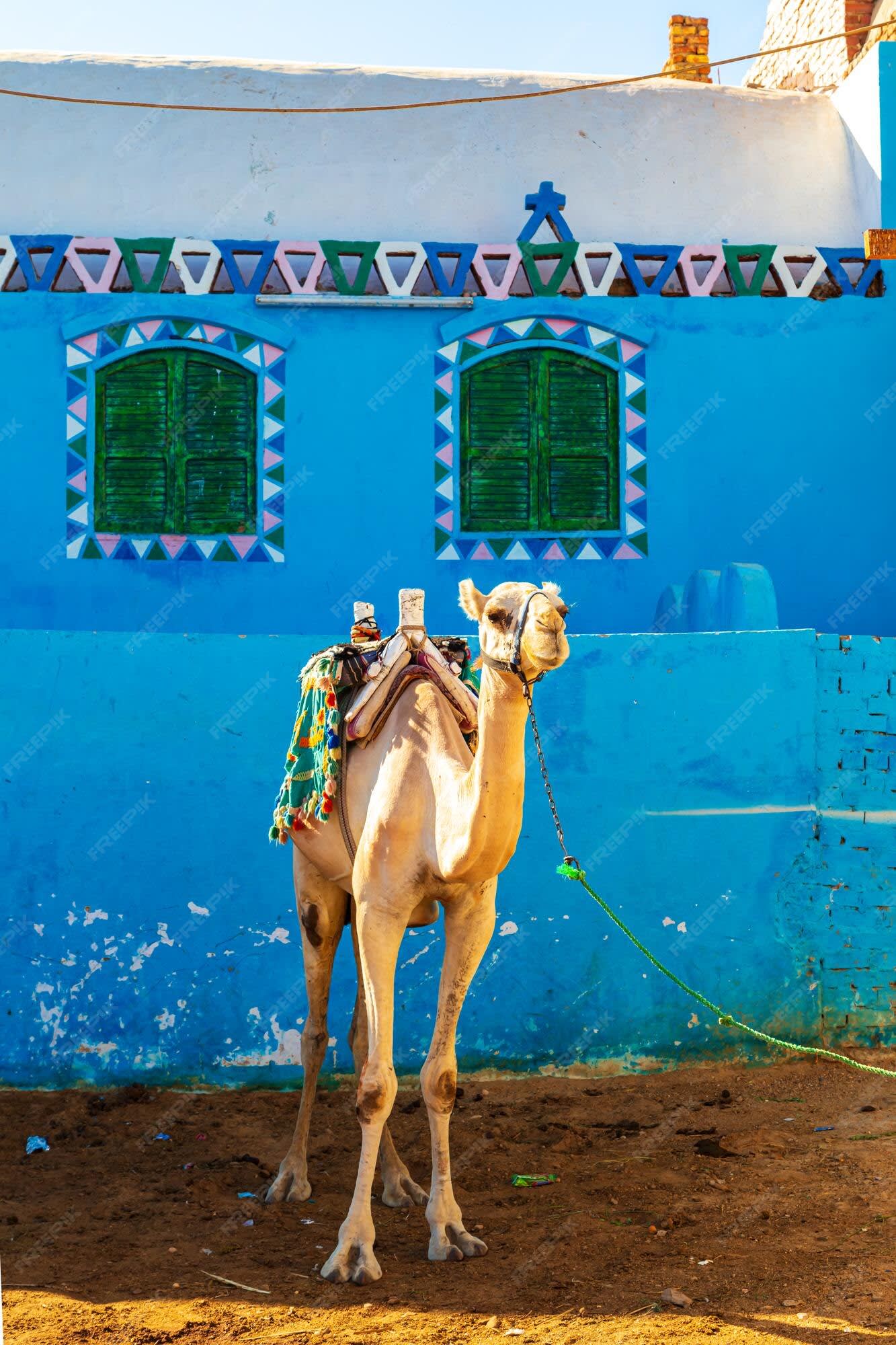 Aswan