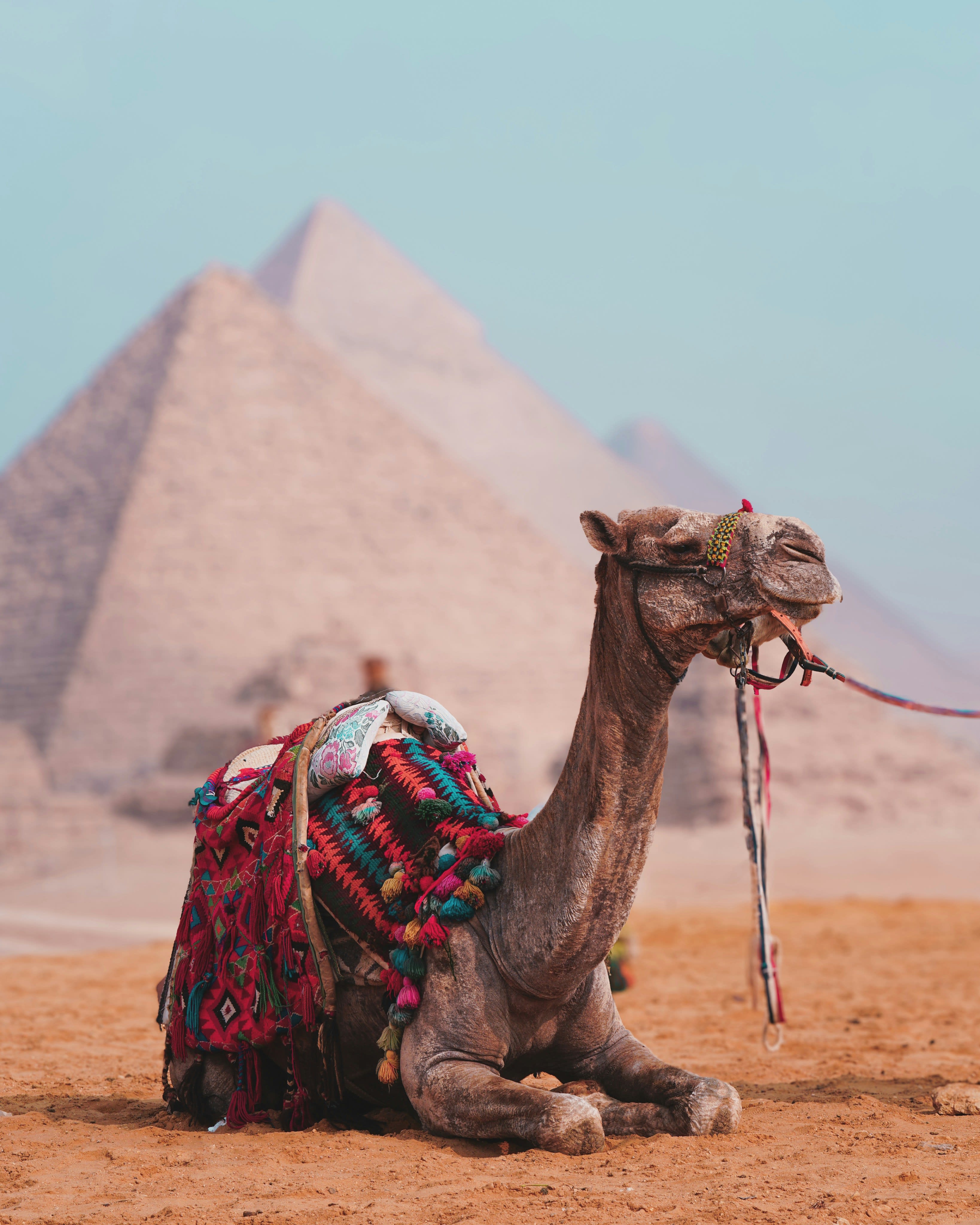 Pyramids of Giza