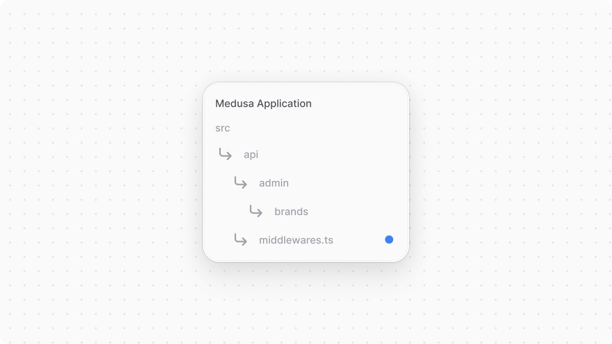 Directory structure of the Medusa application after adding the middleware