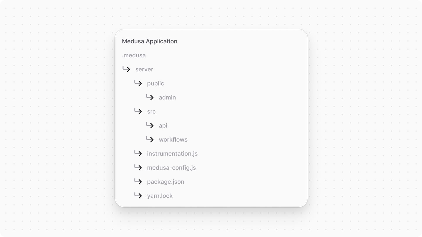 .medusa/server directory structure