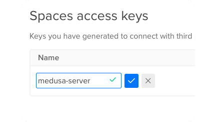 Enter a name for the Space access key in the field under the Name column