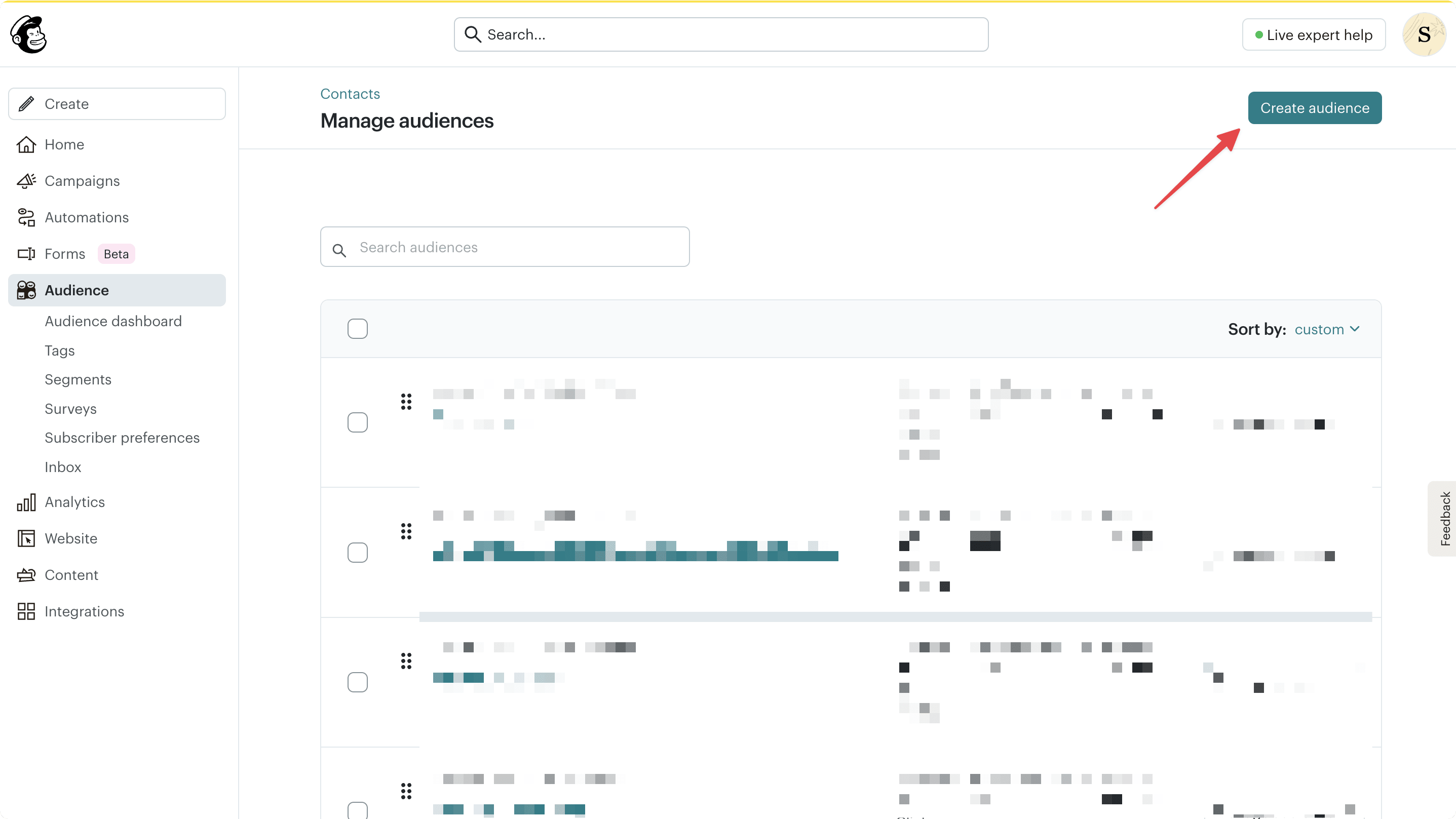 Mailchimp audience creation page with the Create Audience button highlighted