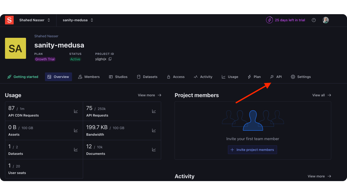 The API tab is at the top of the project dashboard next to Settings.